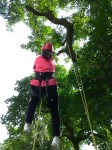 攀樹課程:C89709DC-E177-499B-94C6-2B153577D477